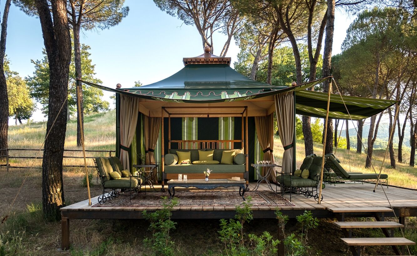 Garden tent among umbrella pines, Umbria